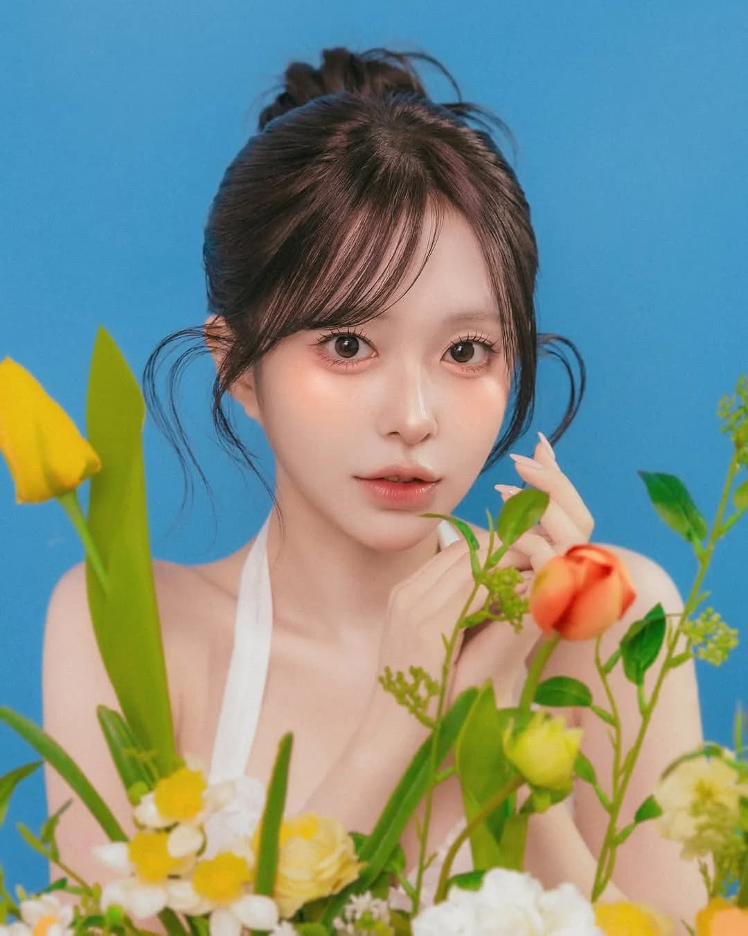 민지