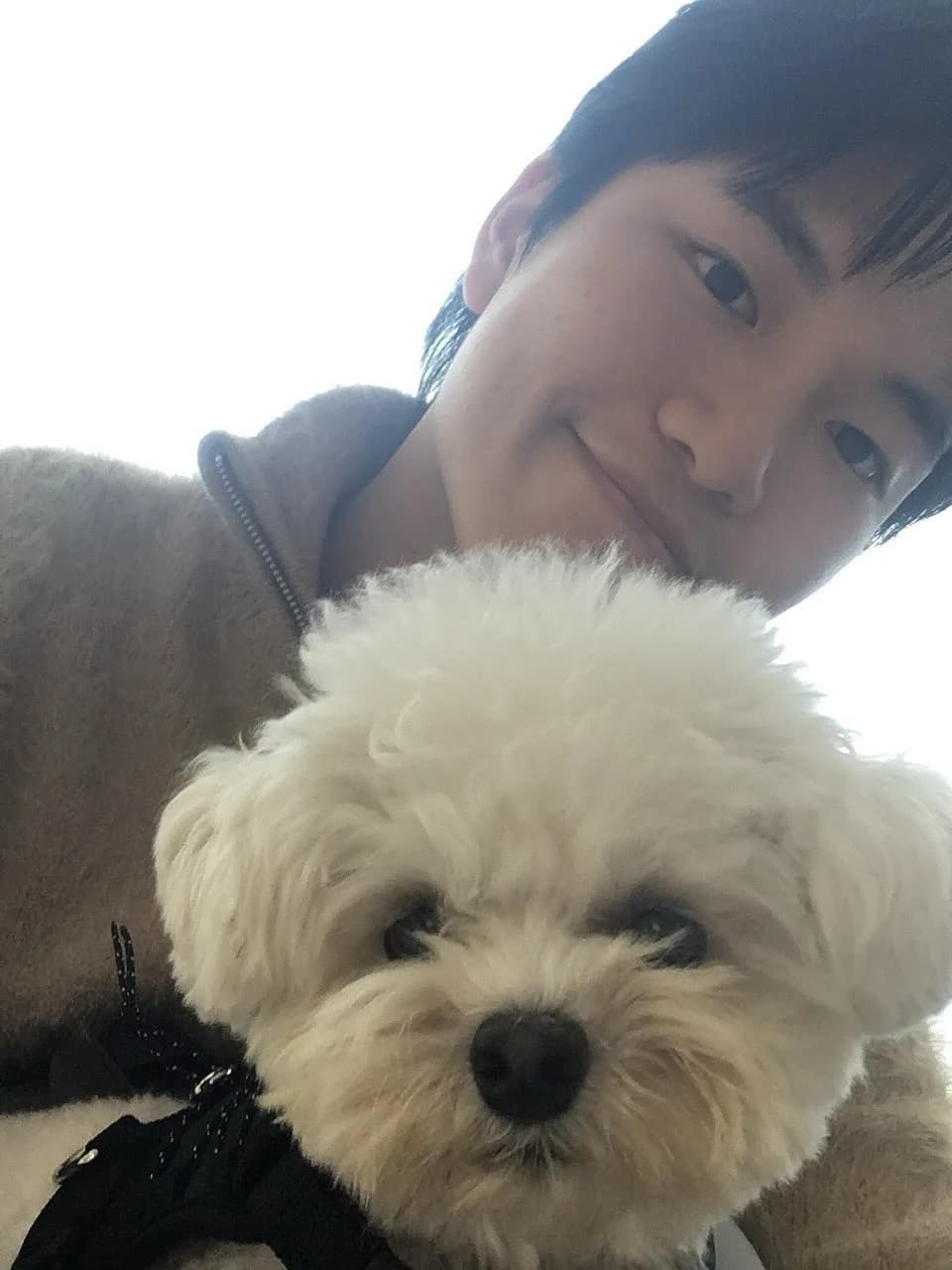 병권